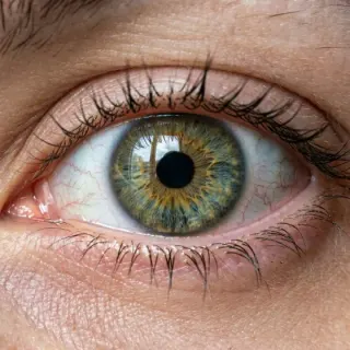 Close-up eye used to represent eye health pathways